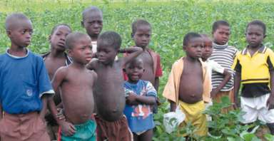 photo of Ghanaian children in a soybean field