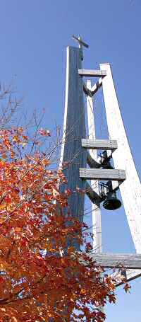 photo of autumn leaves and St. Joseph Church bell tower in Madison